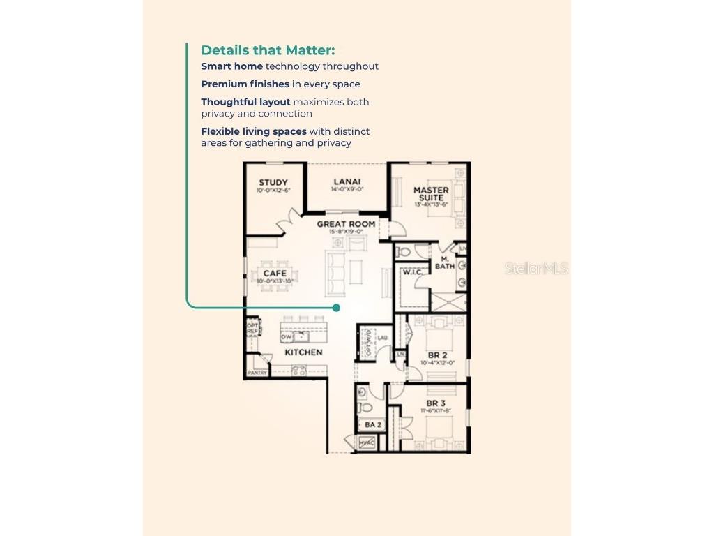 34971 Arbor Retreat Drive Zephyrhills FL 33541 TB8454906 image9