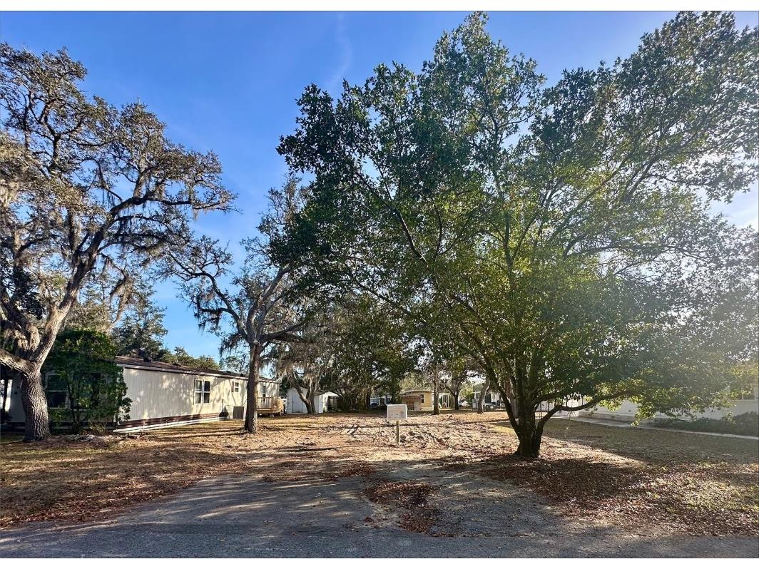 34978 Hawkiowa Road Dade City FL 33523 TB8346407 image1