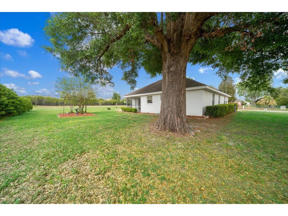 3498 NW 50th Court Ocala FL 34482 OM722308 image41
