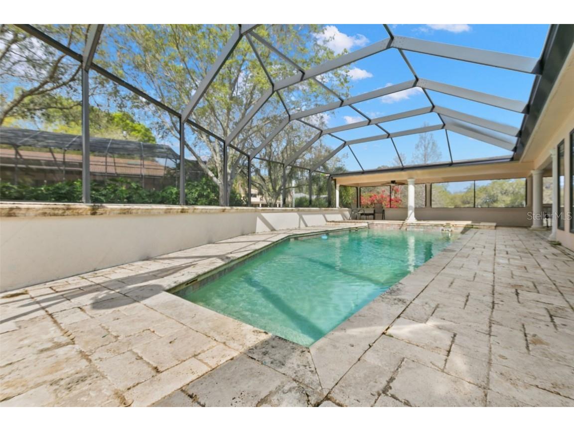 3498 Shoreline Circle Palm Harbor FL 34684 TB8437347 image34