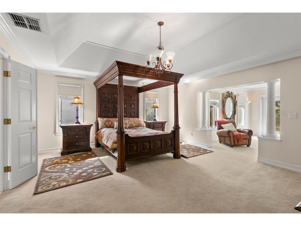 3498 Shoreline Circle Palm Harbor FL 34684 TB8437347 image36