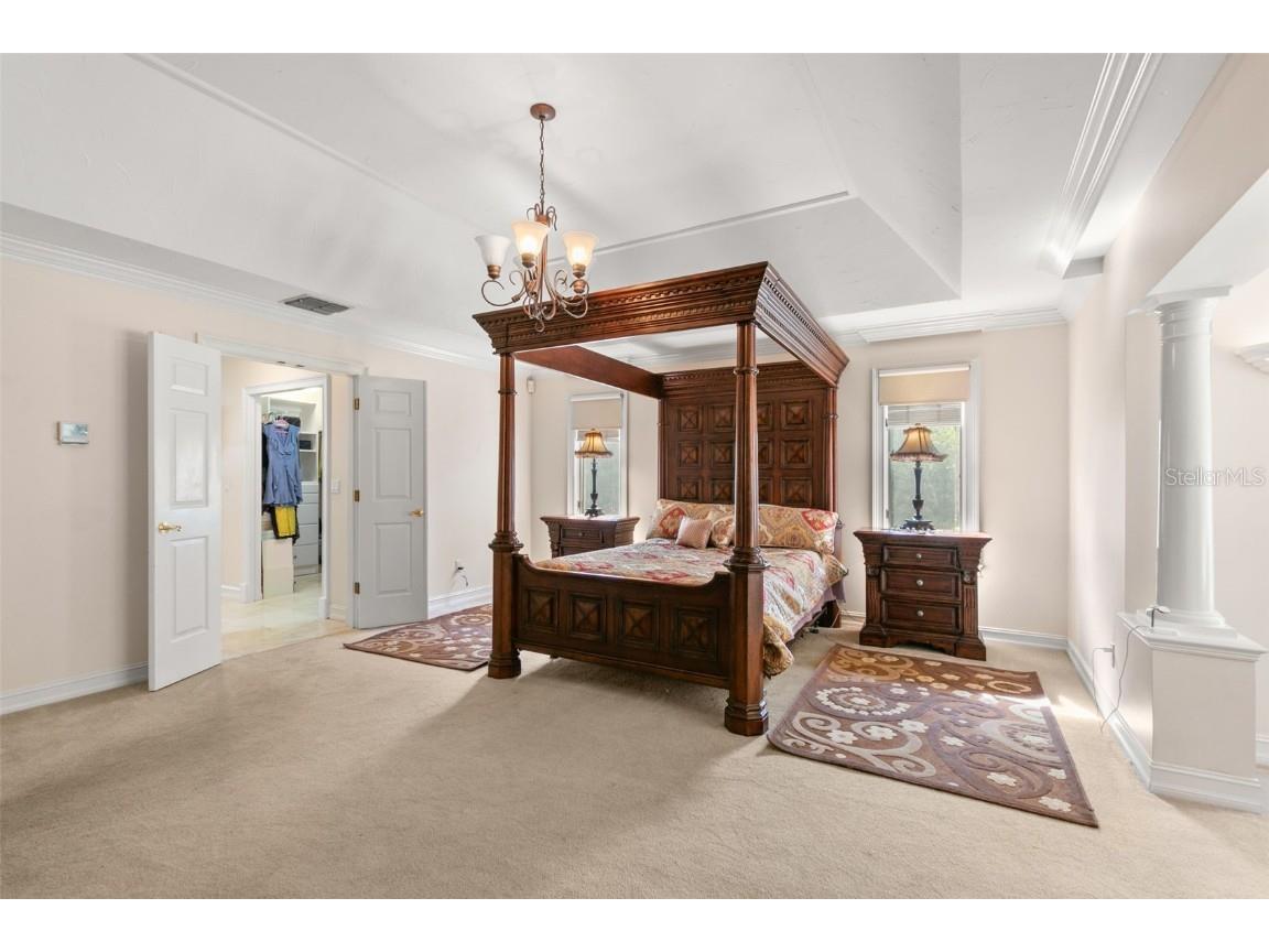 3498 Shoreline Circle Palm Harbor FL 34684 TB8437347 image37