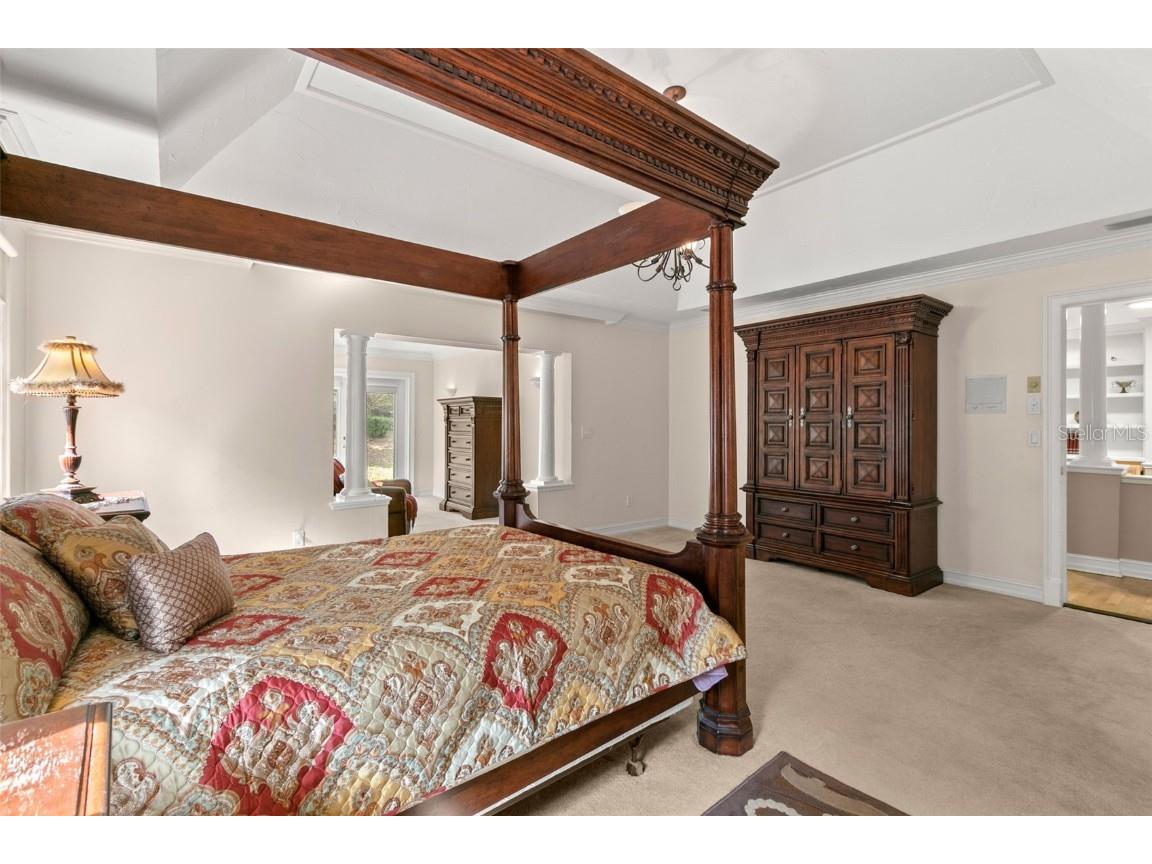 3498 Shoreline Circle Palm Harbor FL 34684 TB8437347 image39