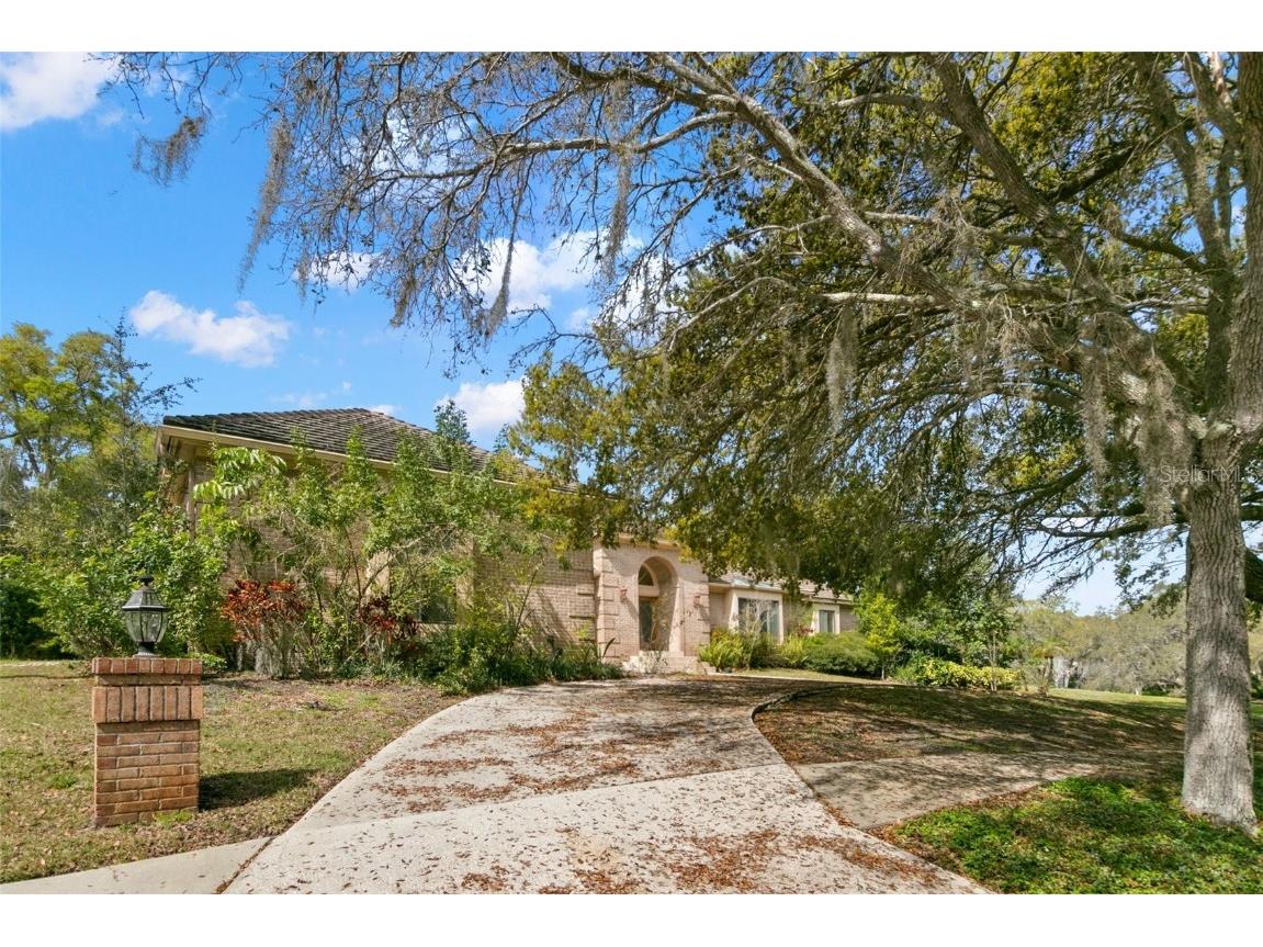 3498 Shoreline Circle Palm Harbor FL 34684 TB8437347 image5