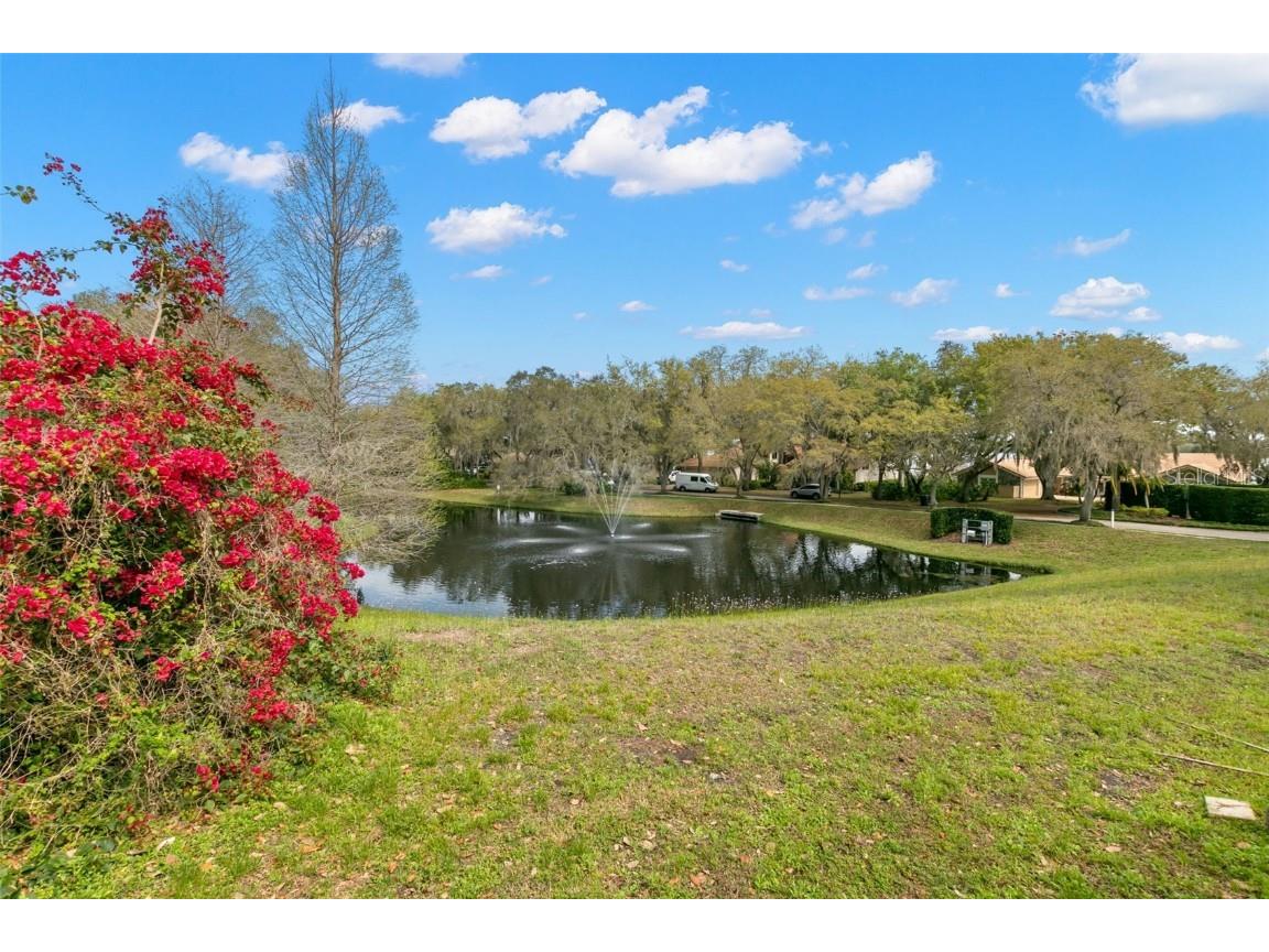 3498 Shoreline Circle Palm Harbor FL 34684 TB8437347 image64