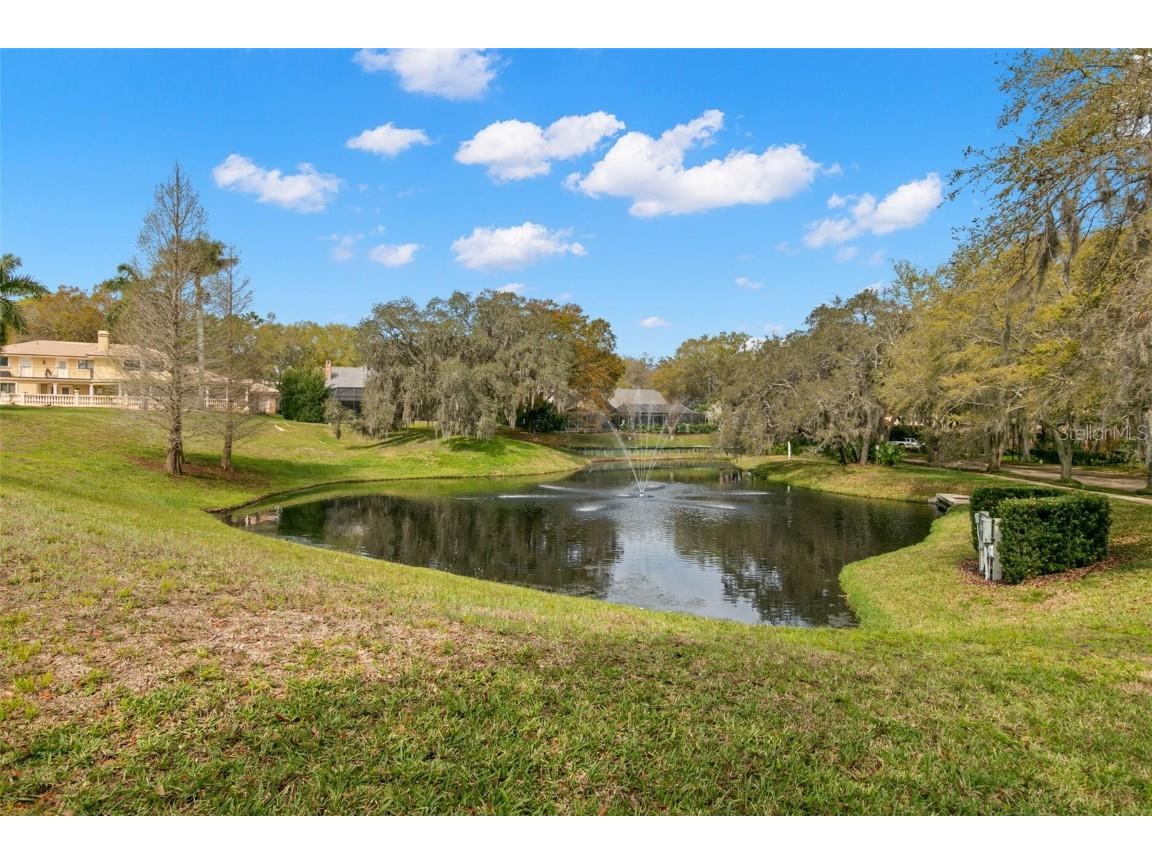 3498 Shoreline Circle Palm Harbor FL 34684 TB8437347 image65