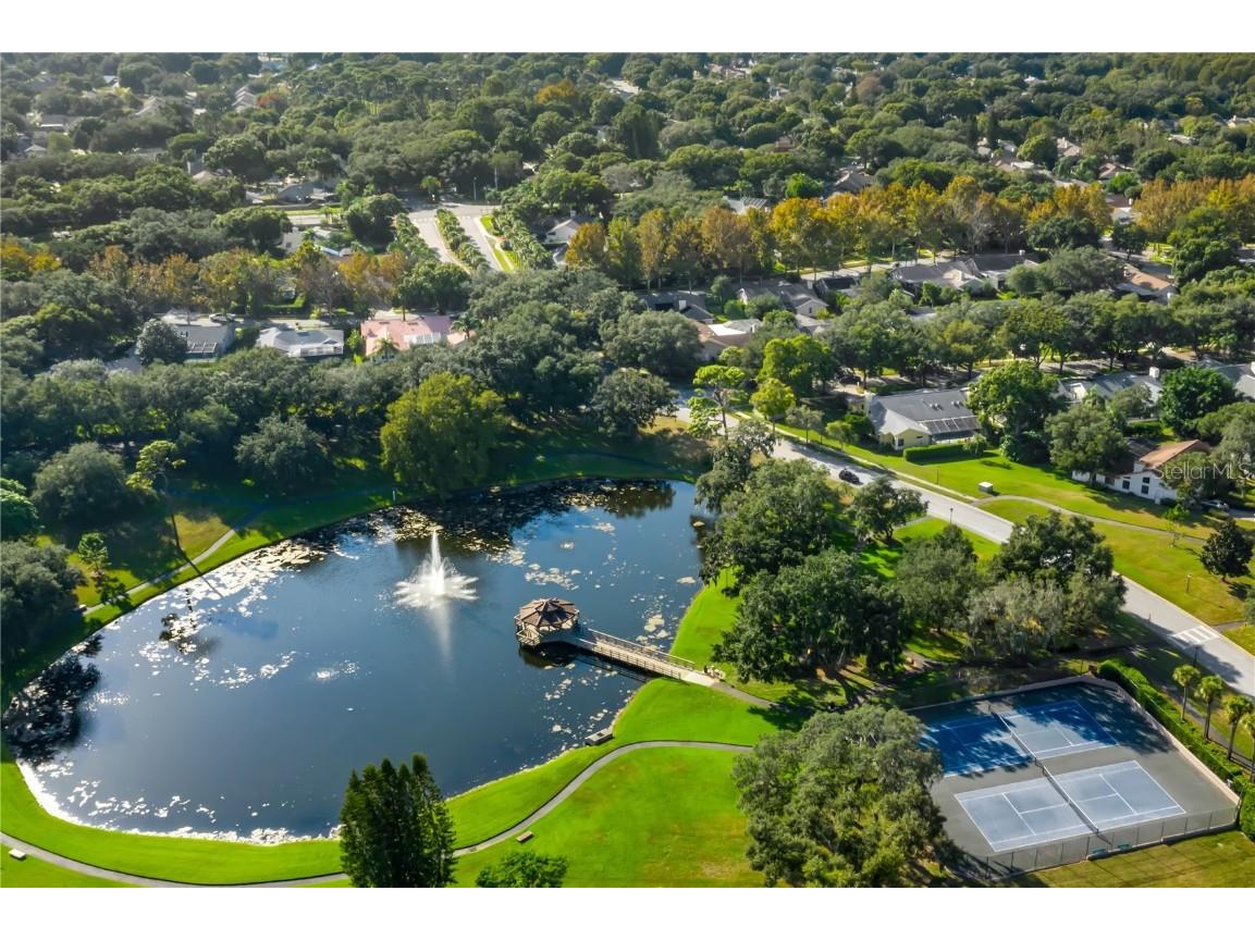 3498 Shoreline Circle Palm Harbor FL 34684 TB8437347 image68