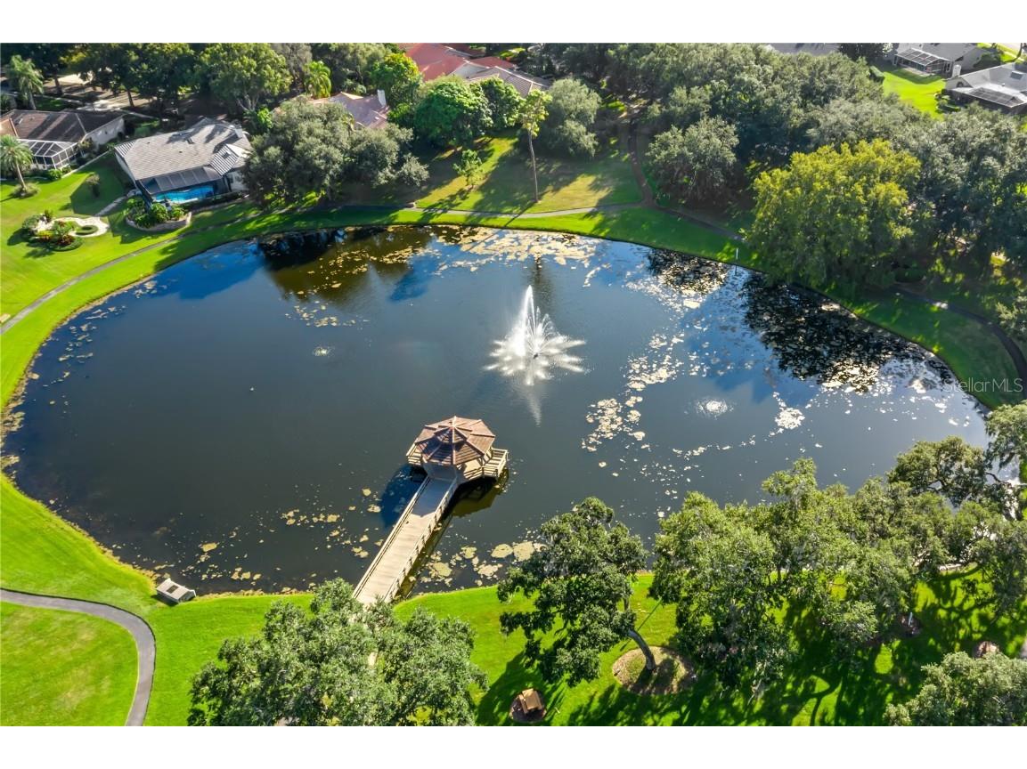 3498 Shoreline Circle Palm Harbor FL 34684 TB8437347 image69