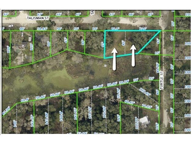 34986 Talisman Street Dade City FL 33523 O6135488 image1