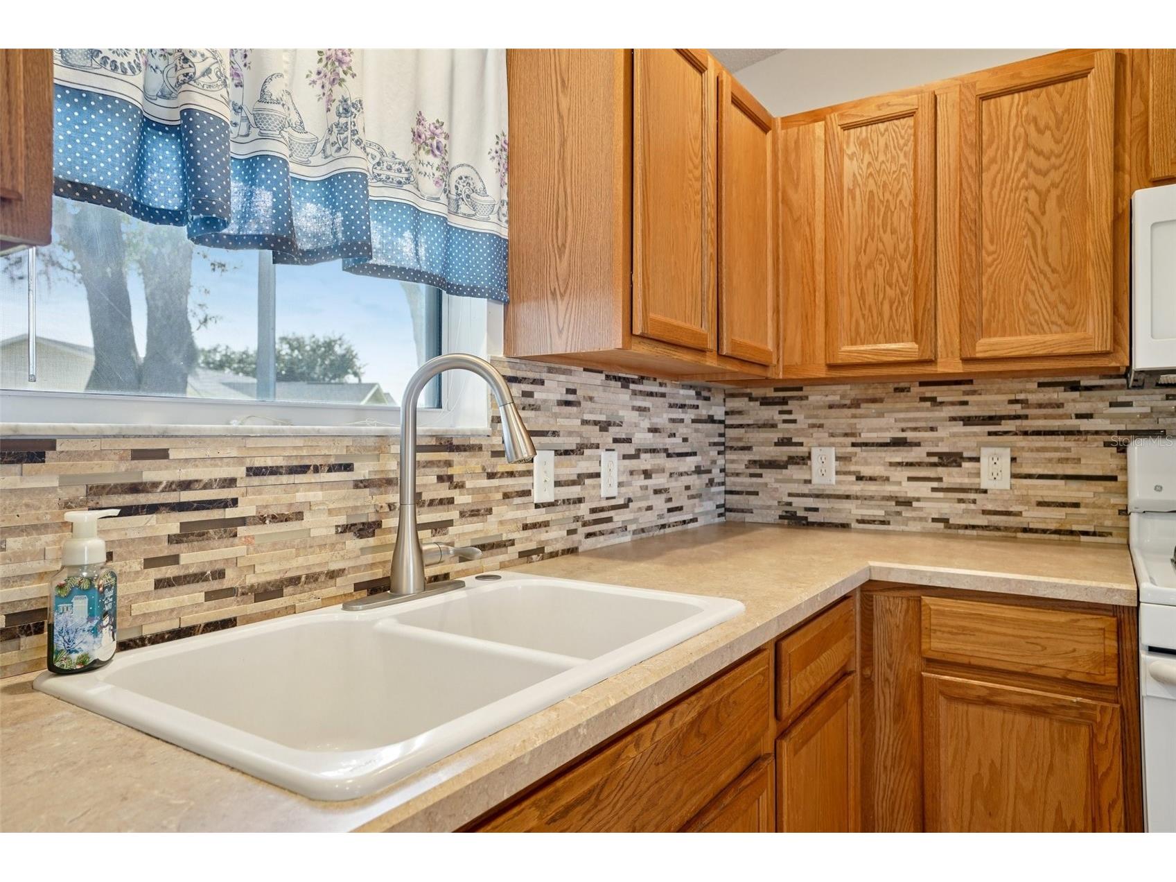3499 Auburndale Avenue The Villages FL 32162 G5105425 image22
