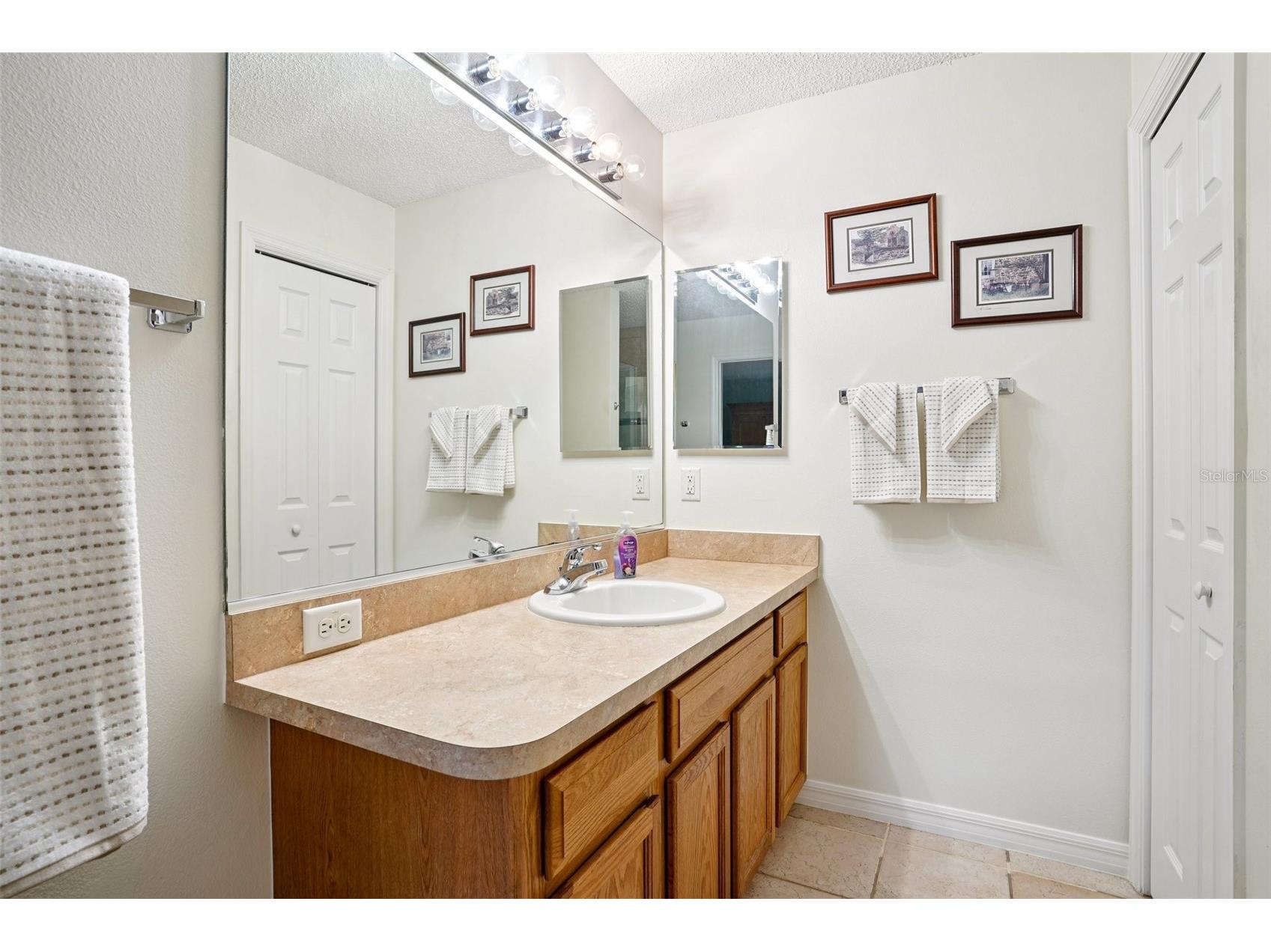 3499 Auburndale Avenue The Villages FL 32162 G5105425 image29