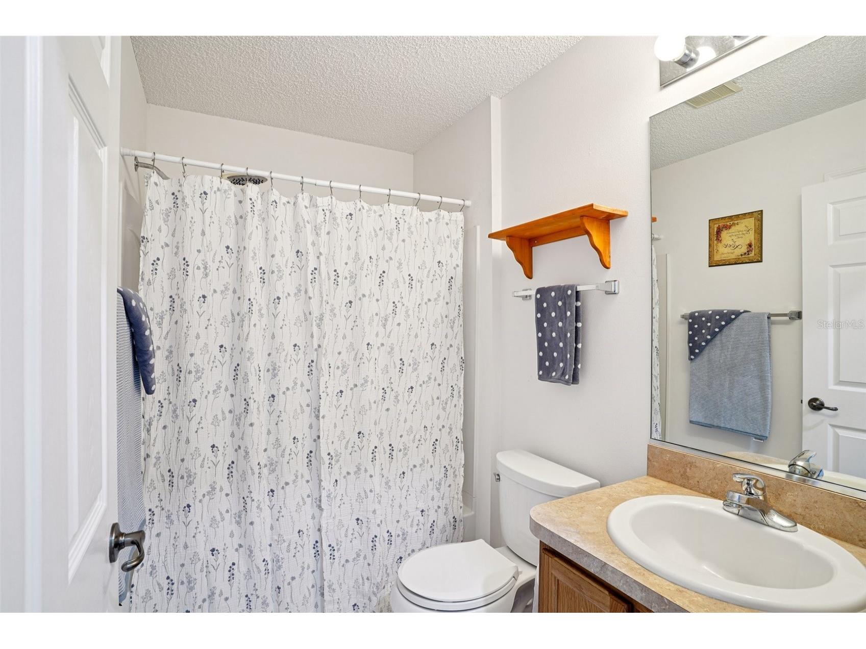 3499 Auburndale Avenue The Villages FL 32162 G5105425 image35