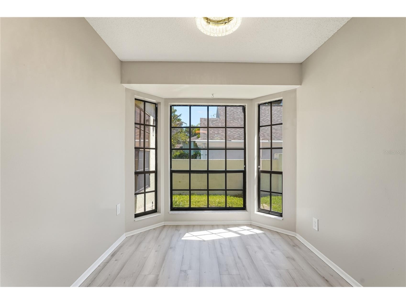 3499 Cedar Lane Palm Harbor FL 34684 TB8437763 image13