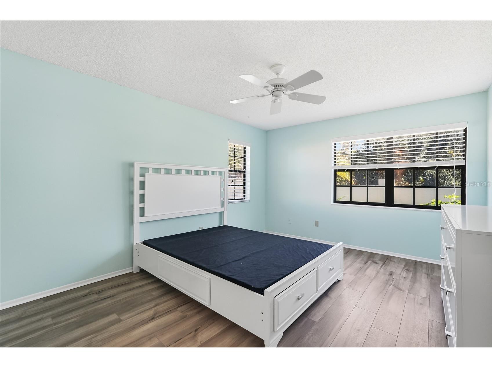 3499 Cedar Lane Palm Harbor FL 34684 TB8437763 image17