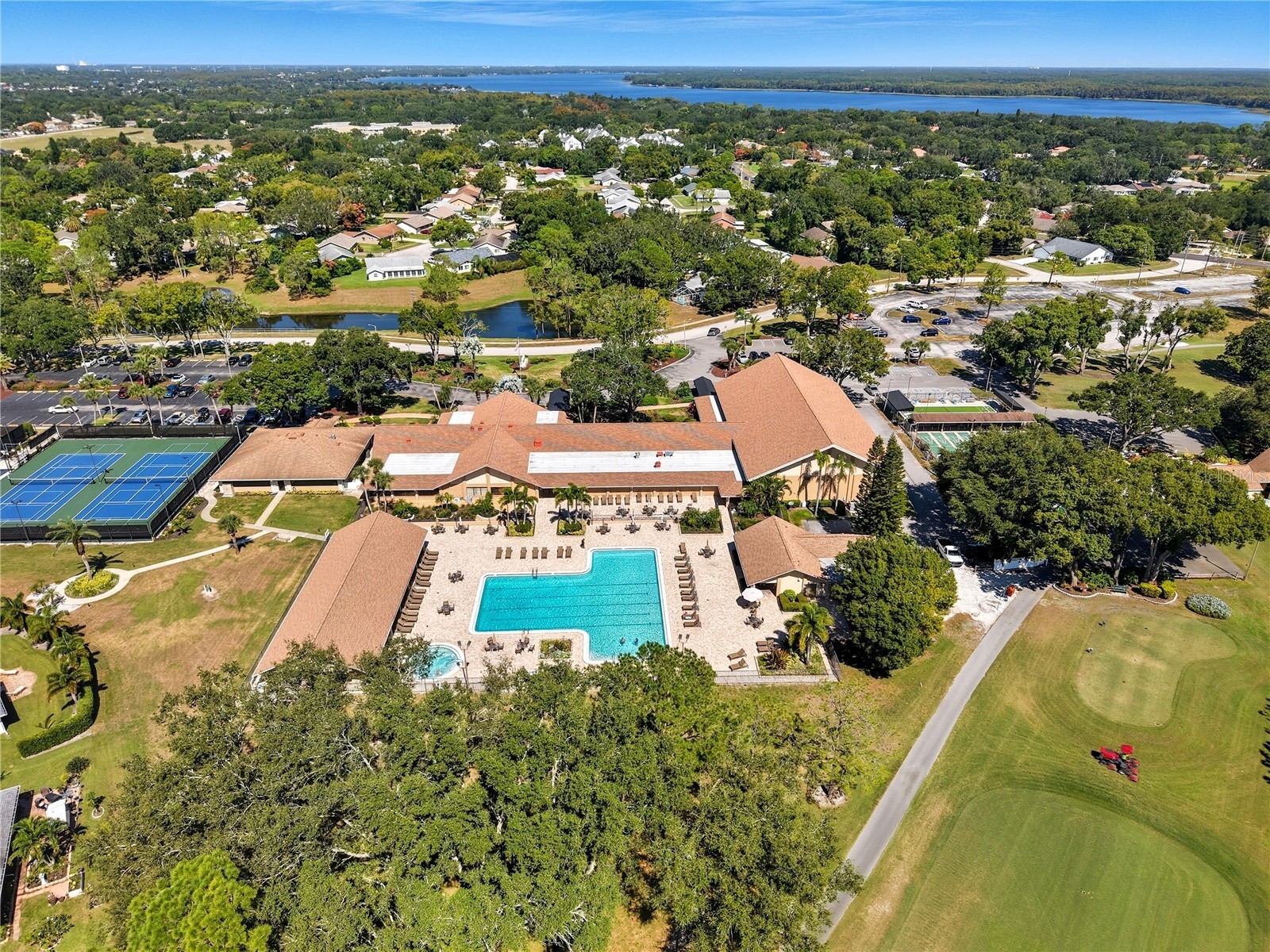 3499 Cedar Lane Palm Harbor FL 34684 TB8437763 image28