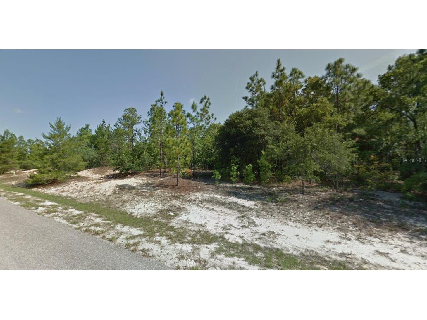 3499 W Webster Place Citrus Springs FL 34433 TB8466635 image1