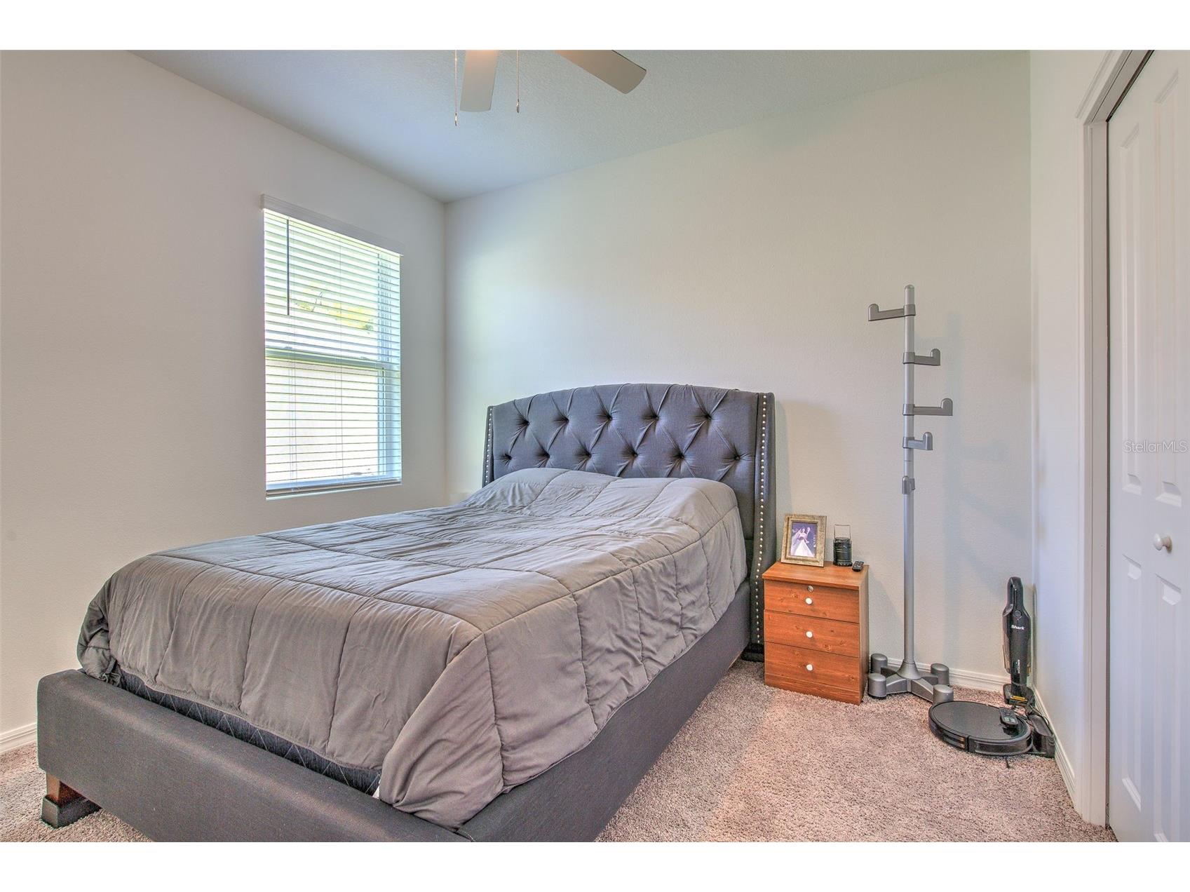 34991 Mulrion Drive Zephyrhills FL 33541 TB8489555 image10