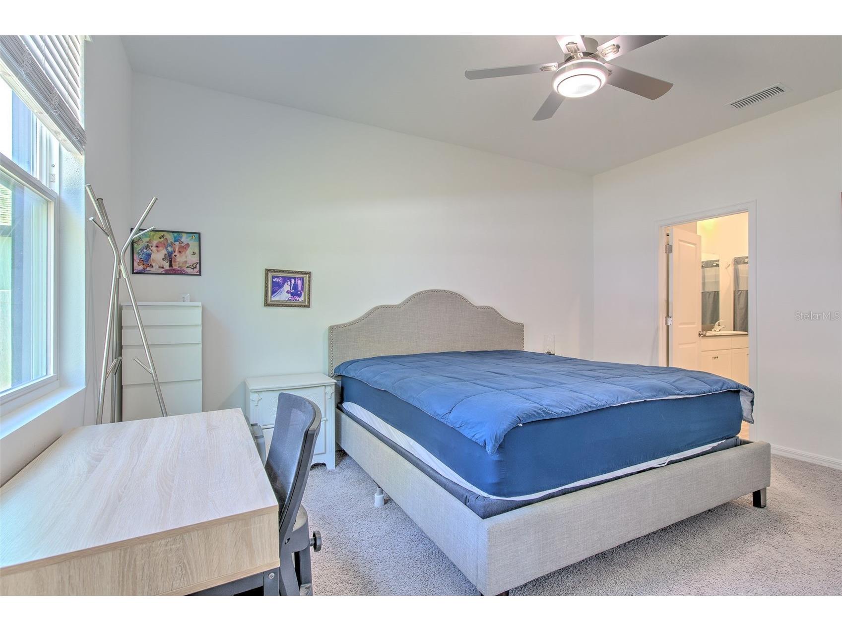 34991 Mulrion Drive Zephyrhills FL 33541 TB8489555 image22