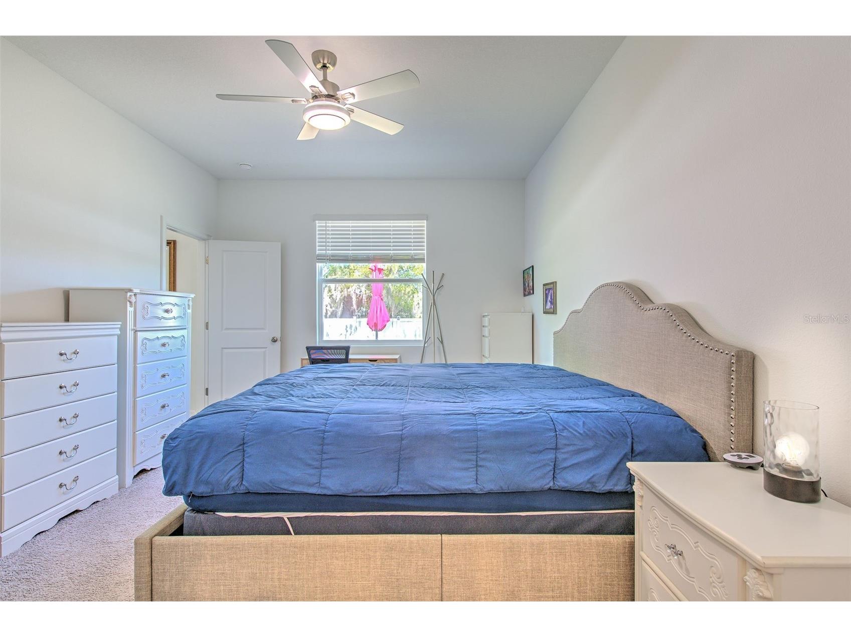 34991 Mulrion Drive Zephyrhills FL 33541 TB8489555 image23