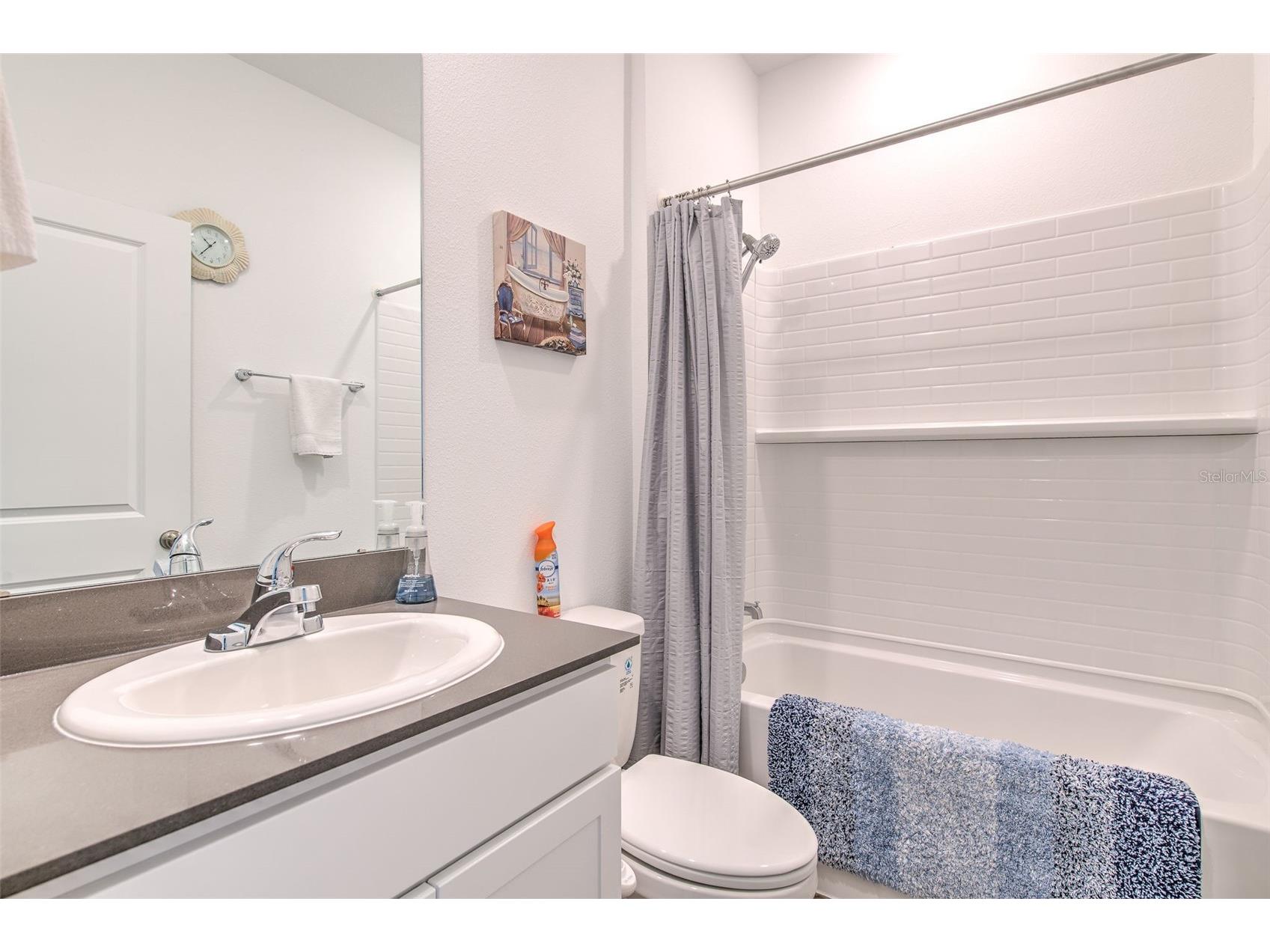 34991 Mulrion Drive Zephyrhills FL 33541 TB8489555 image9