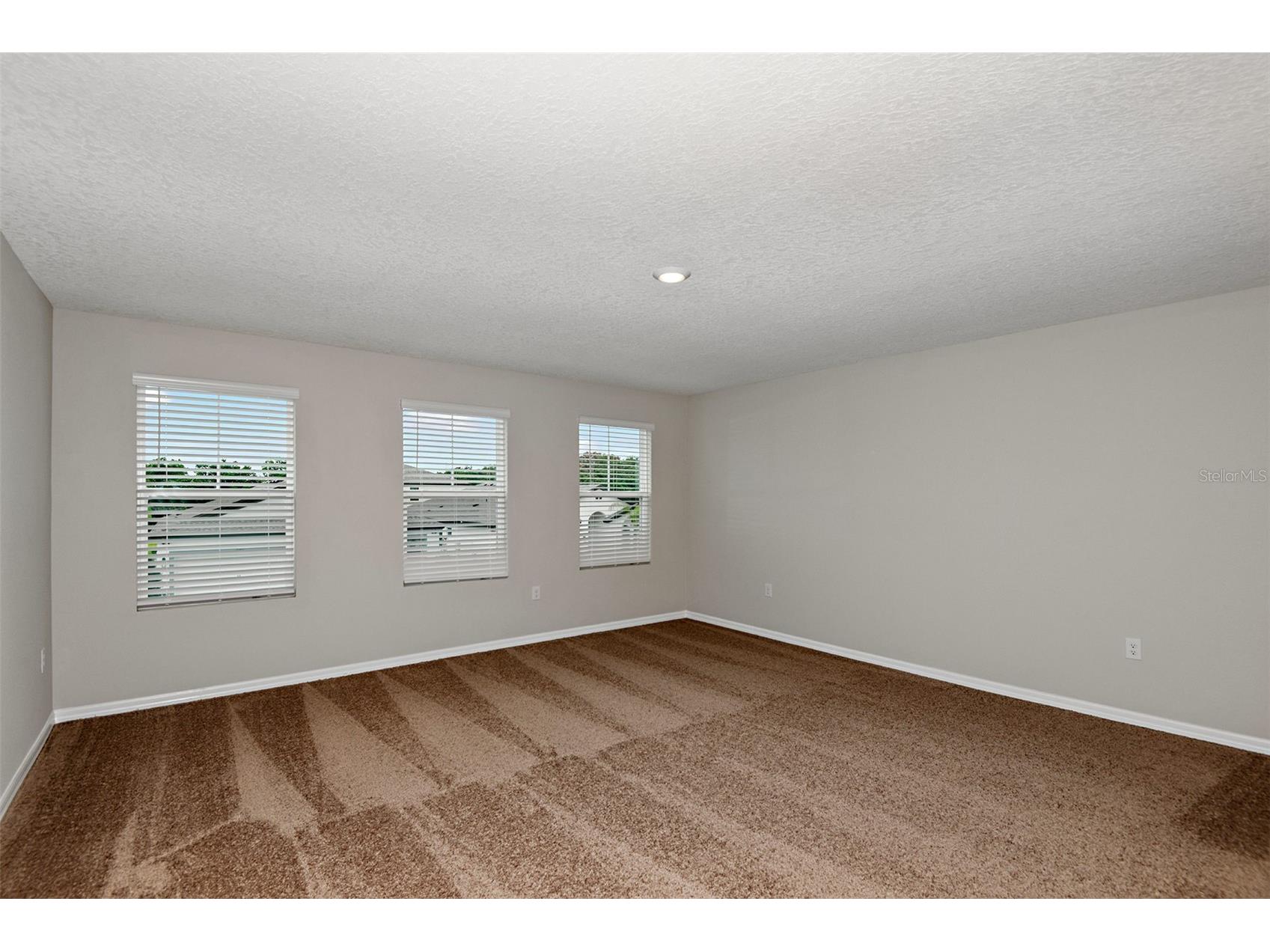 34993 Arbor Retreat Drive Dade City FL 33525 TB8505463 image7