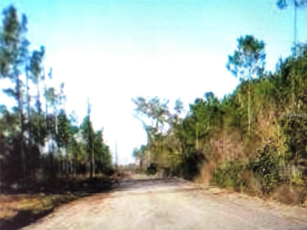 35 Acres Madison Main Line Perry FL 32347 O6328947 image2