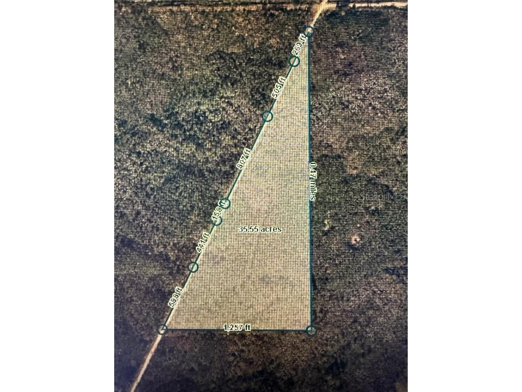 35 Acres Madison Main Line Perry FL 32347 O6328947 image3