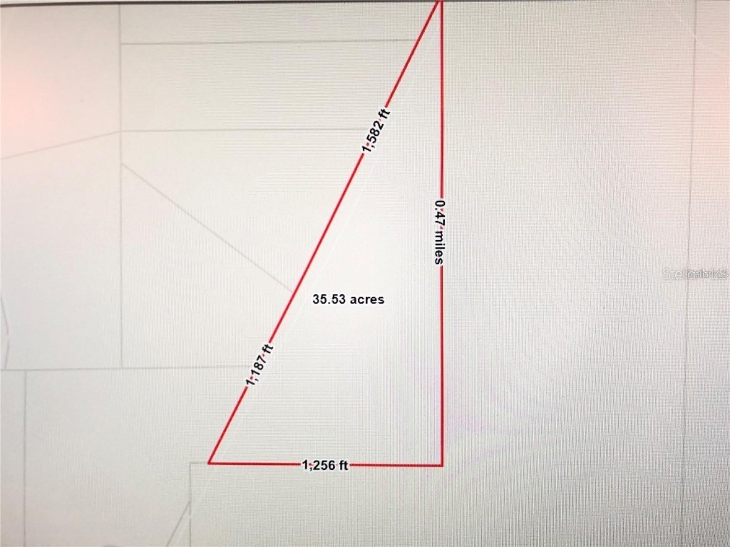 35 Acres Madison Main Line Perry FL 32347 O6328947 image4