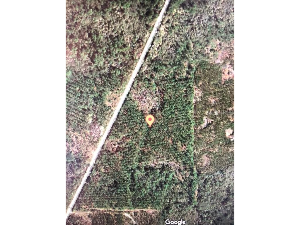35 Acres Madison Main Line Perry FL 32347 O6328947 image5