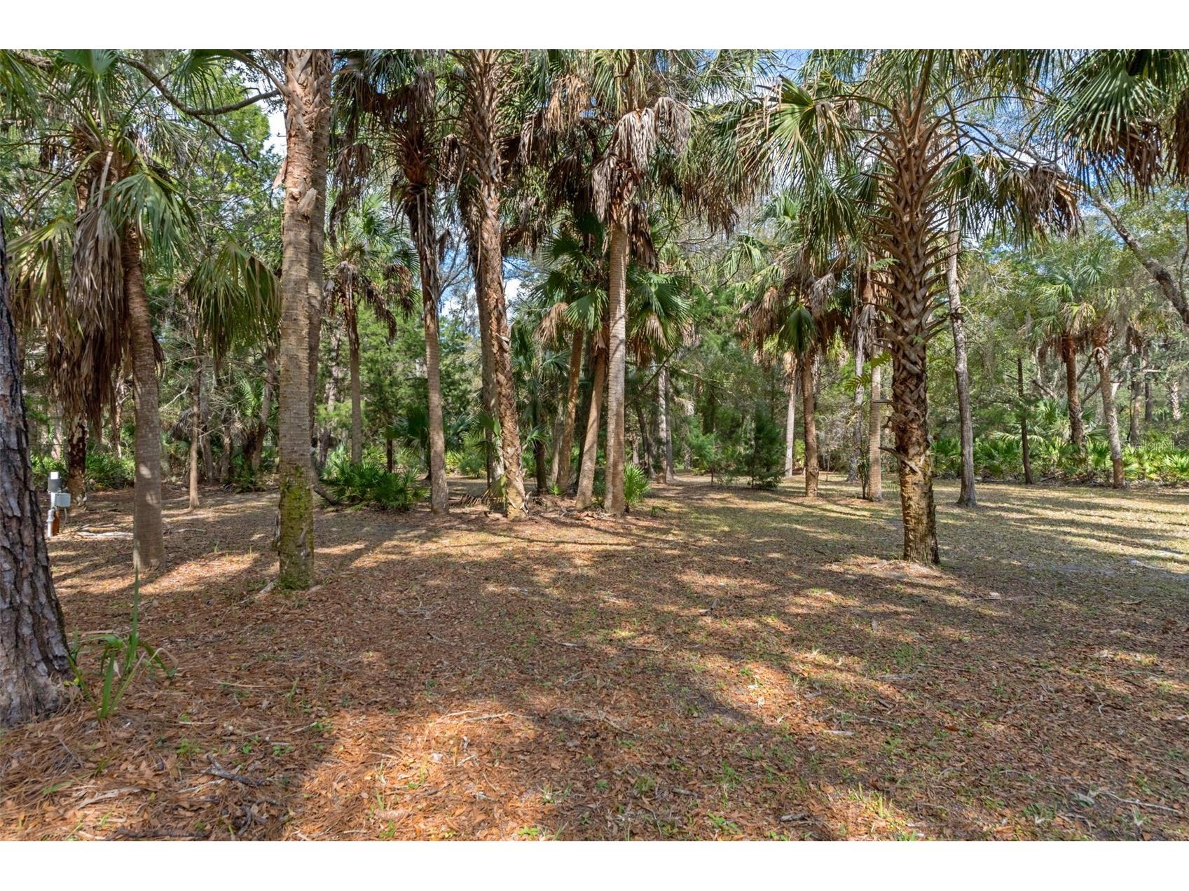 35 Captains Cove Road Inglis FL 34449 W7883504 image63