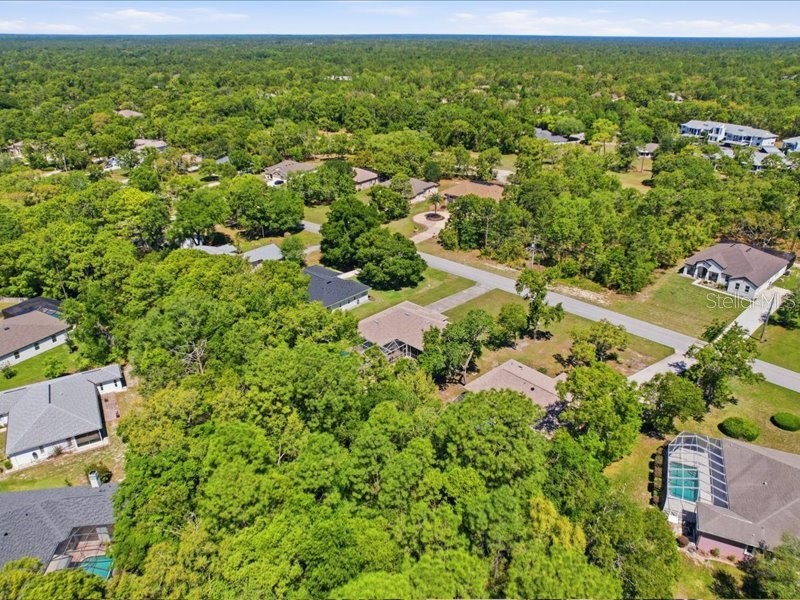 35 Cypress Boulevard E Homosassa FL 34446 OM723039 image43