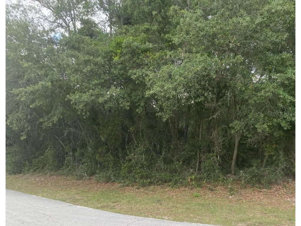 35 Ferndale Lane Palm Coast FL 32137 FC292200 image1