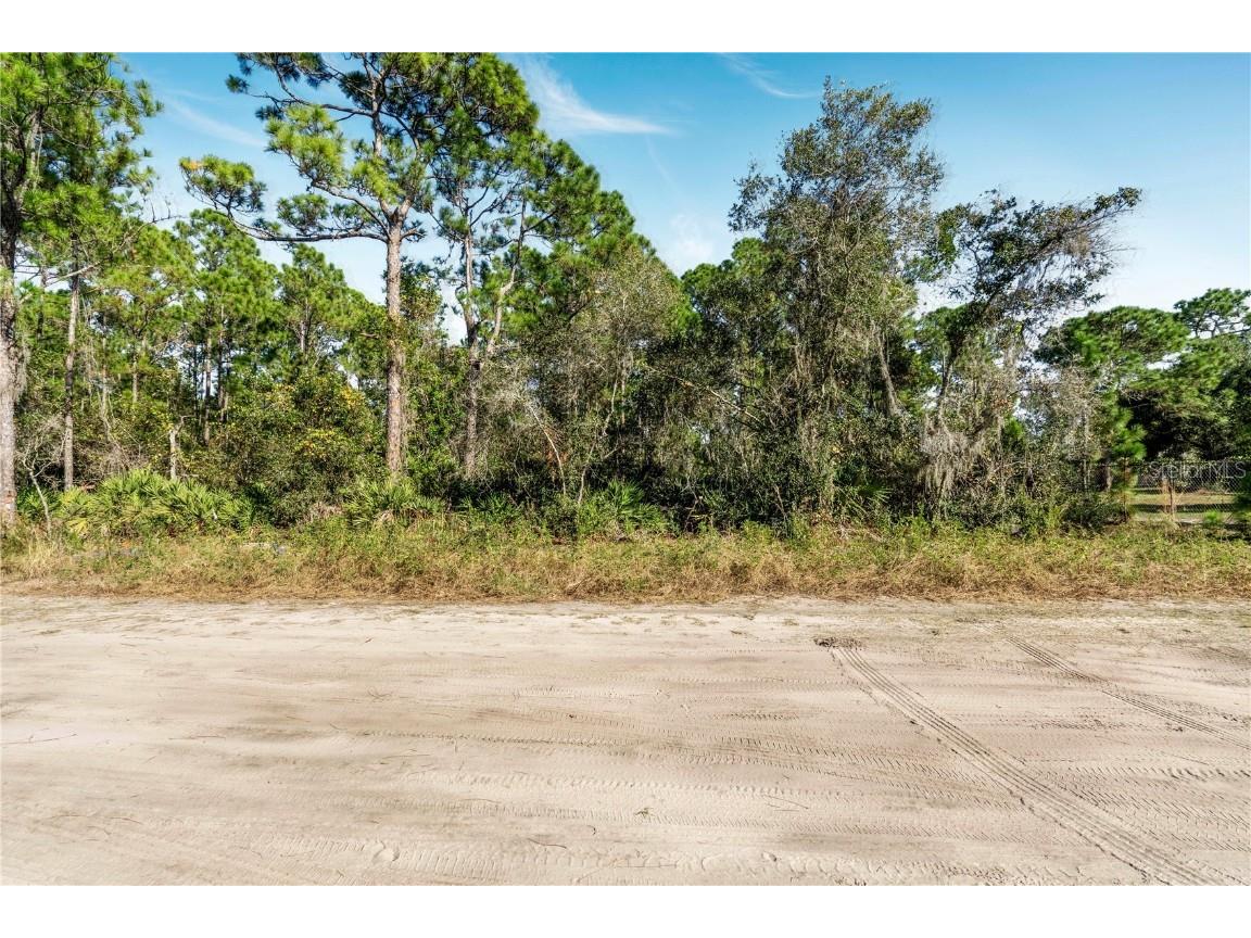 35 Fyfe Avenue Debary FL 32713 V4945993 image1