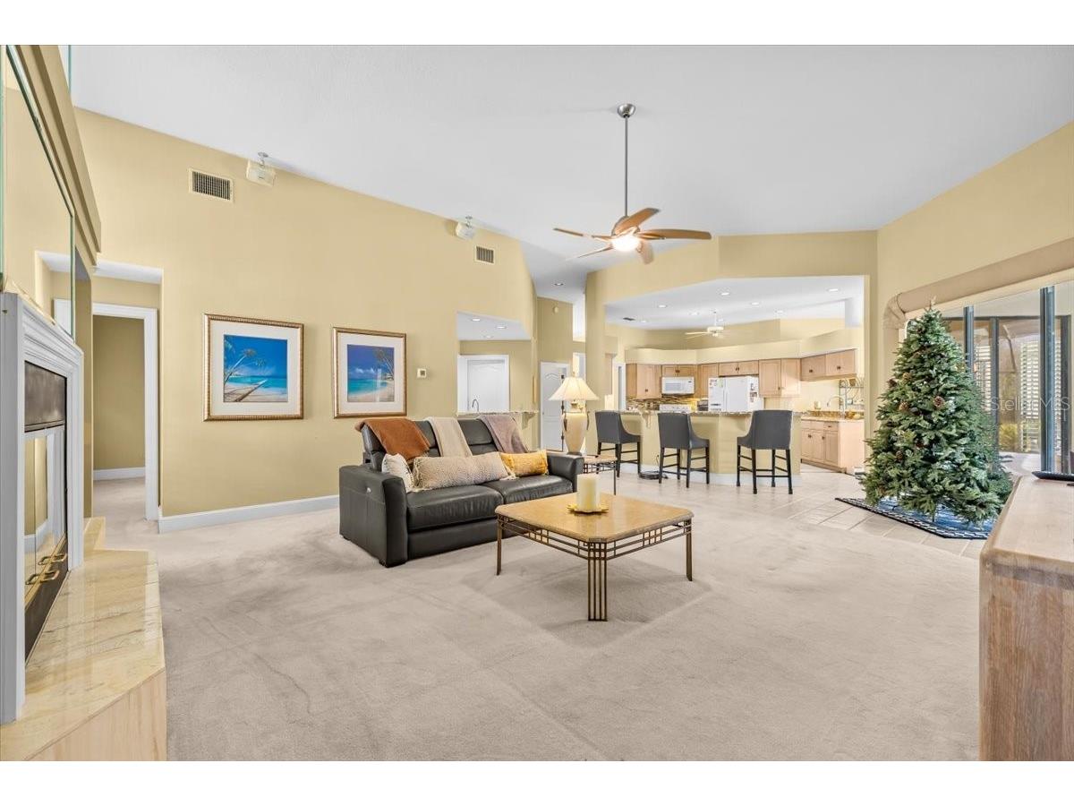 35 Greenhaven Trail Oldsmar FL 34677 TB8484093 image24