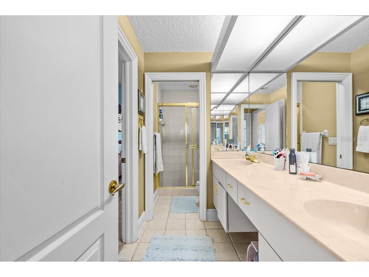 35 Greenhaven Trail Oldsmar FL 34677 TB8484093 image37