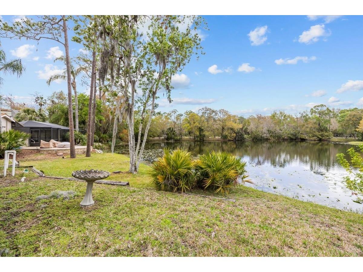 35 Greenhaven Trail Oldsmar FL 34677 TB8484093 image51