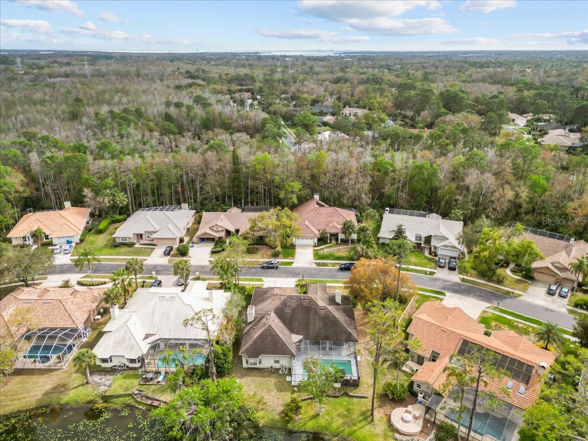 35 Greenhaven Trail Oldsmar FL 34677 TB8484093 image59