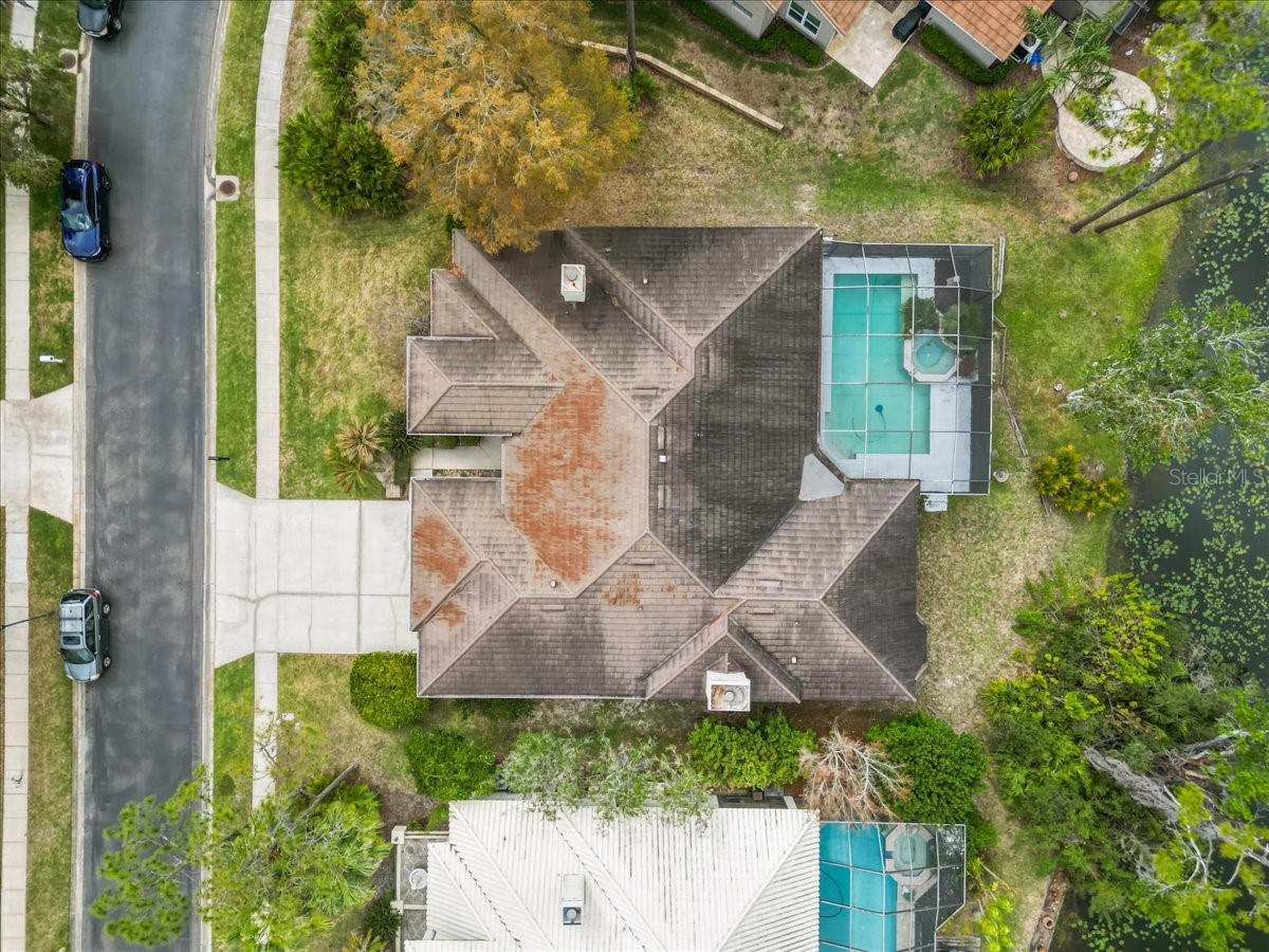 35 Greenhaven Trail Oldsmar FL 34677 TB8484093 image60