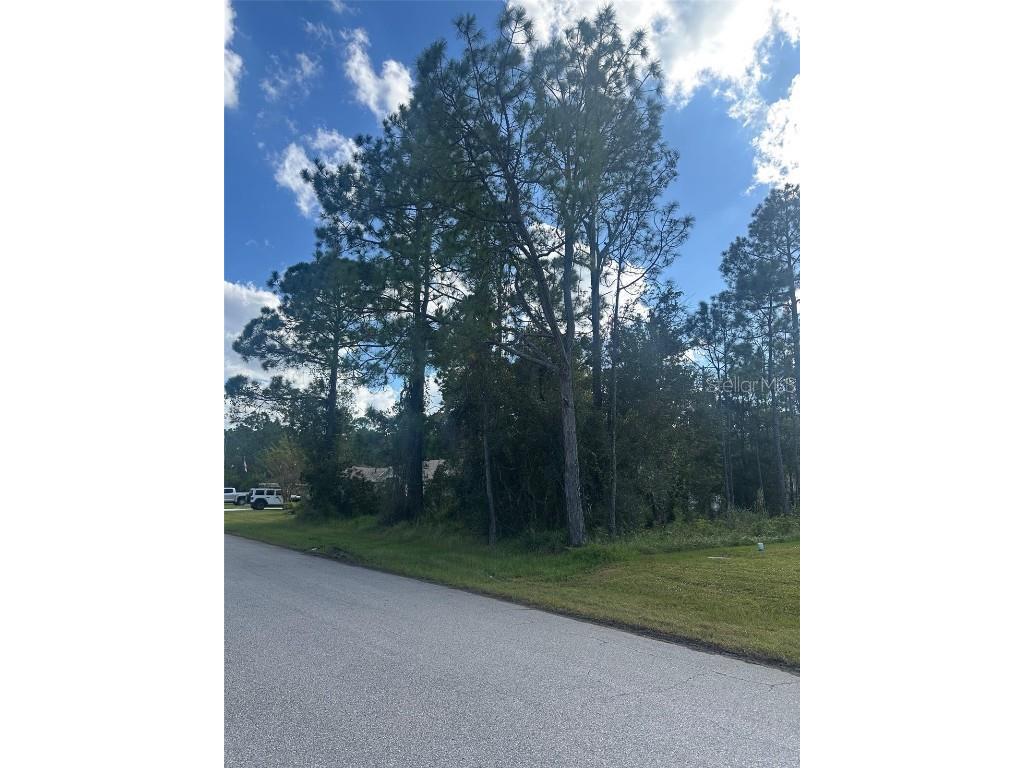 35 Kankakee Trail Palm Coast FL 32164 FC313583 image4