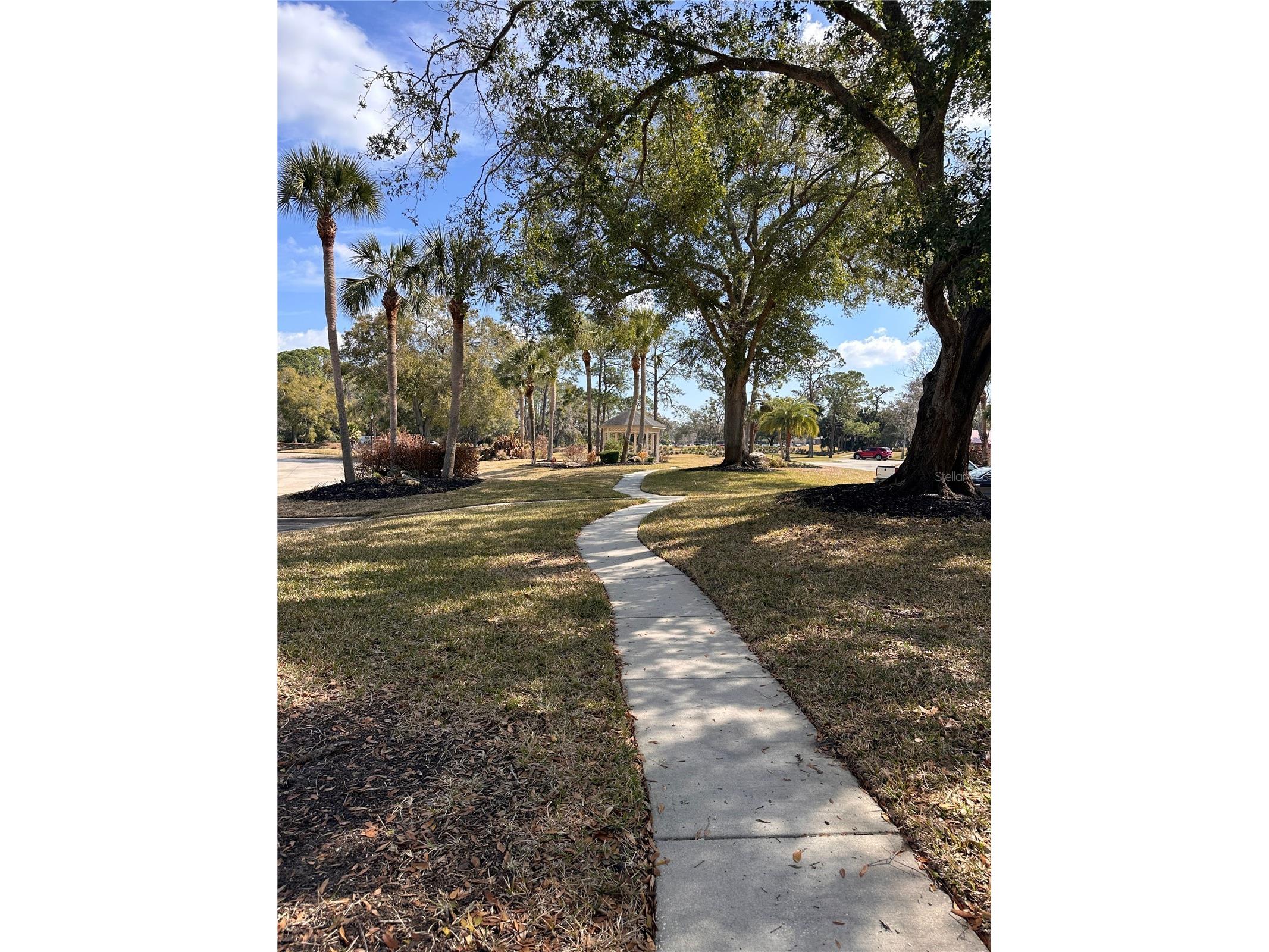 35 Magnolia Avenue #35 Ormond Beach FL 32174 FC316939 image27