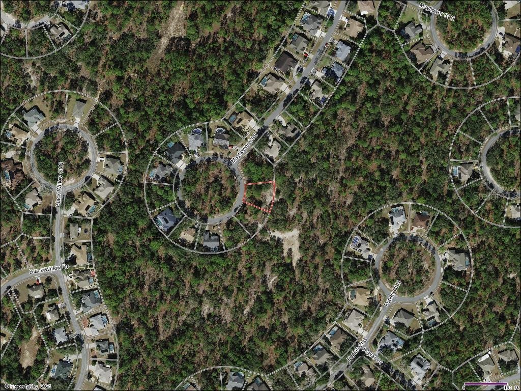 35 Mayflower Court S Homosassa FL 34446 J976716 image1