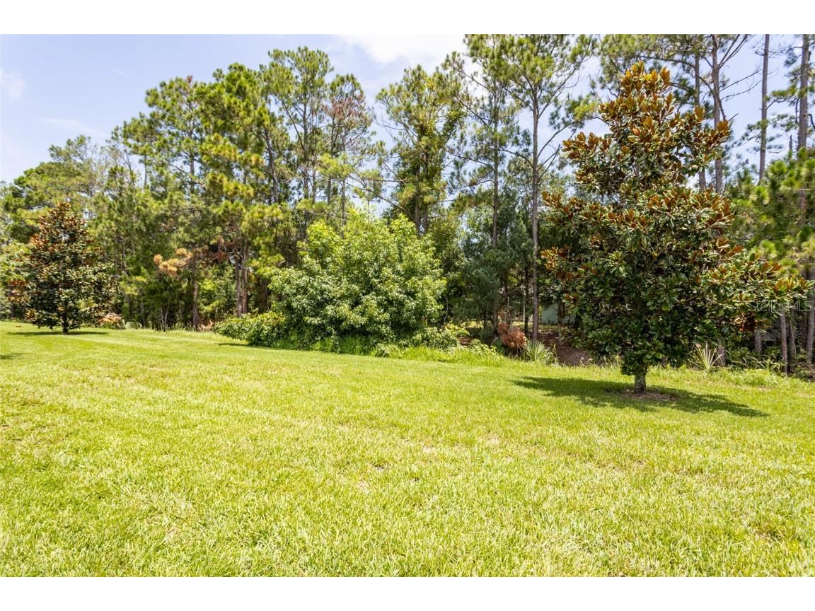 35 Park Place Circle Palm Coast FL 32164 FC309429 image17