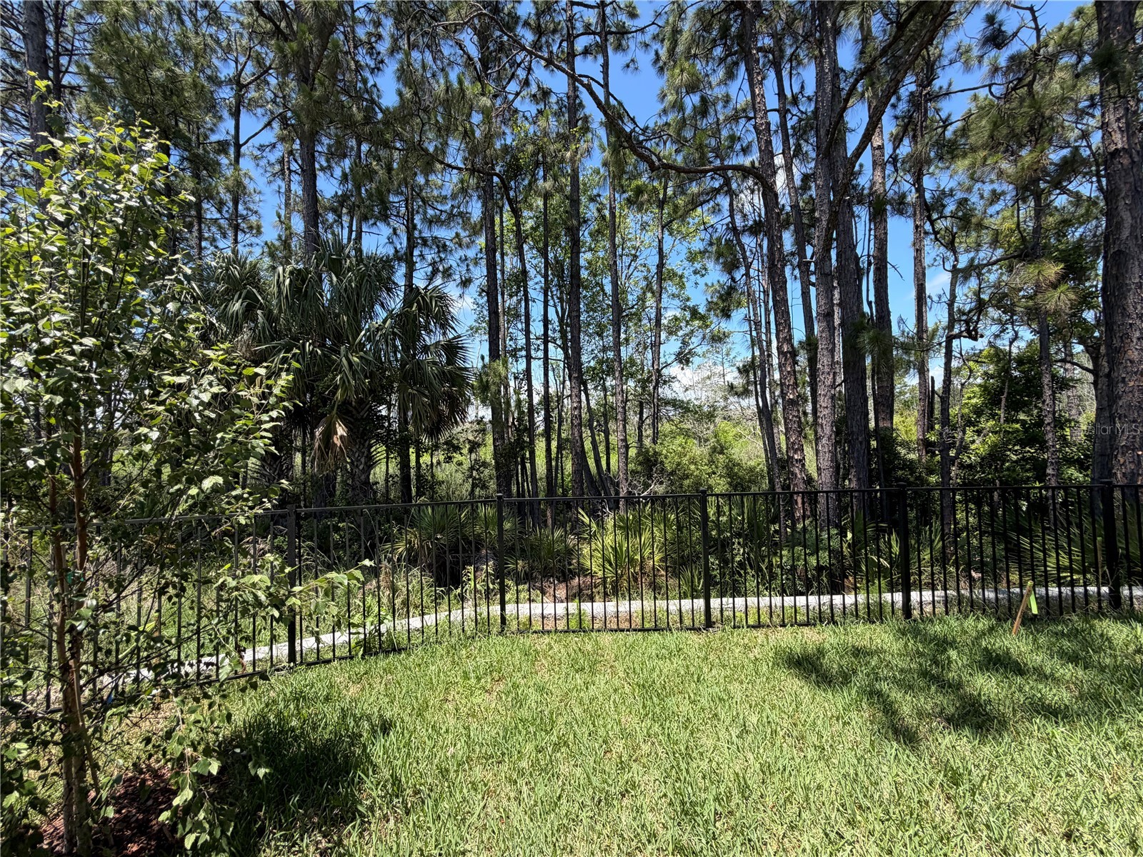 35 Perseus Avenue Flagler Beach FL 32136 FC318830 image38