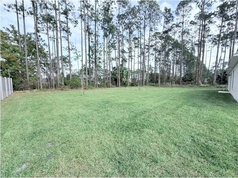 35 Richmond Drive Palm Coast FL 32164 C7517633 image12