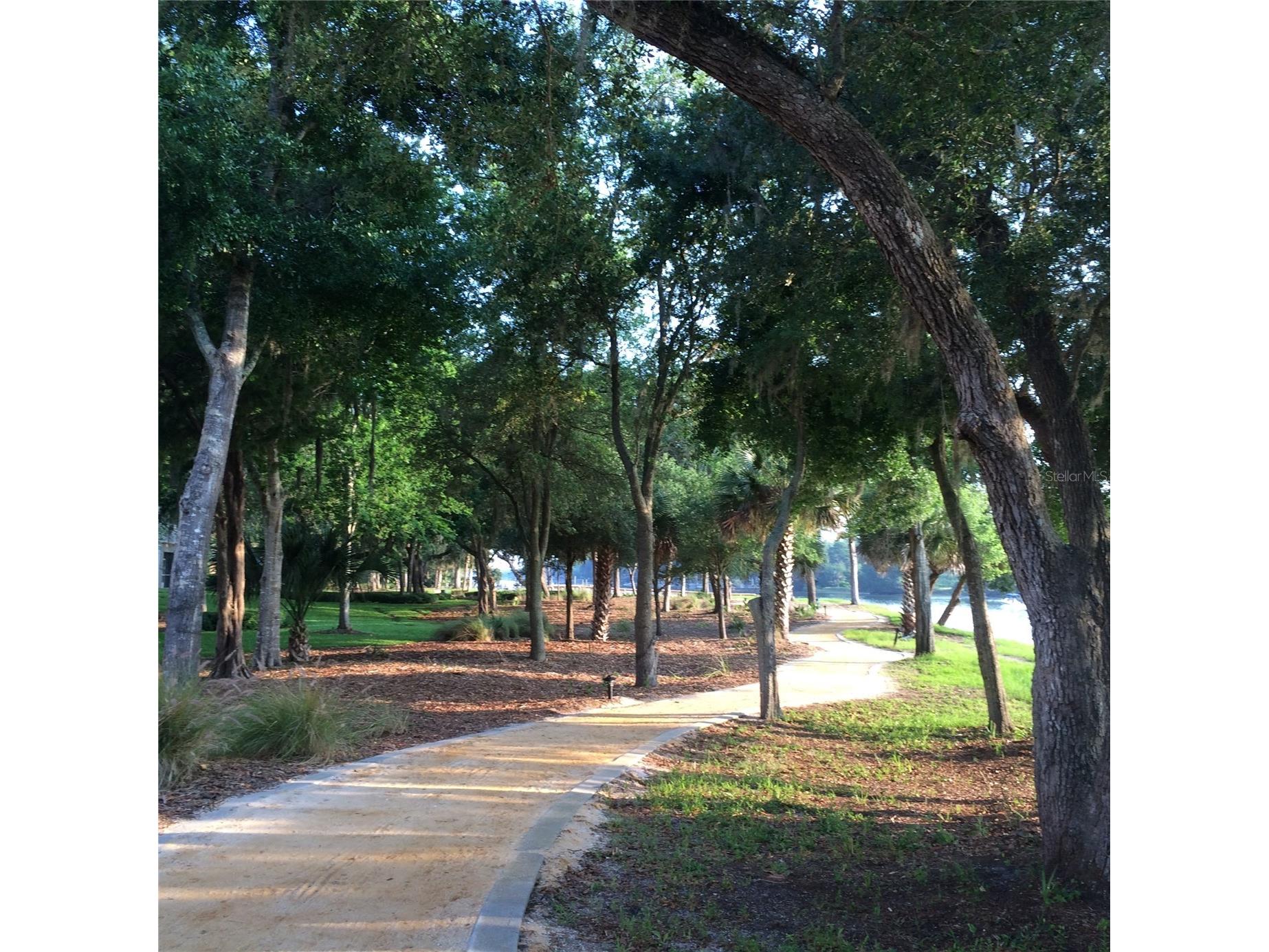 35 Riverview Bend S #1845 Palm Coast FL 32137 FC316743 image49