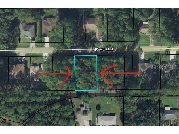 35 Rymer Lane Palm Coast FL 32164 FC280845 image2