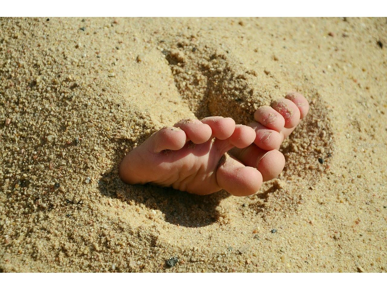 35 Tee View Road Rotonda West FL 33947 D6142251 image53