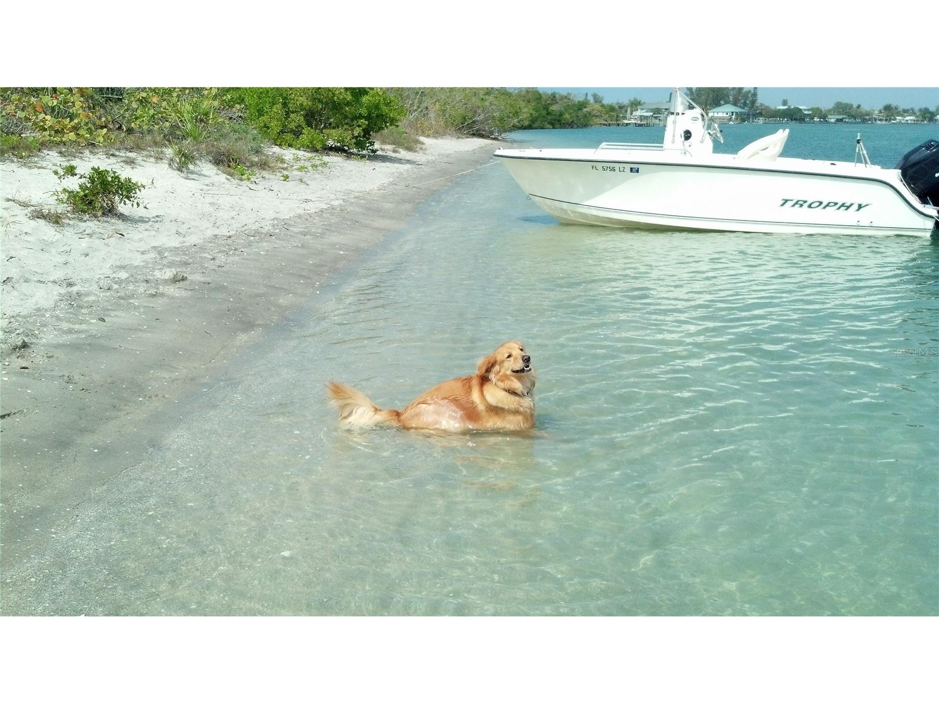 35 Tee View Road Rotonda West FL 33947 D6142251 image63