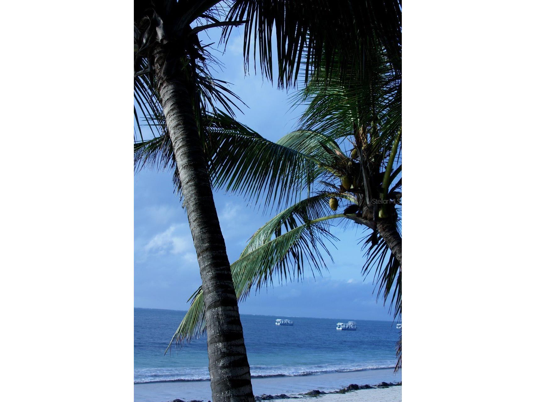 35 Tee View Road Rotonda West FL 33947 D6142251 image75