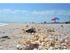 35 Tee View Road Rotonda West FL 33947 D6142251 image98